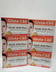 BLEACHING1 KOJIC ACID PLUS WHITENING PROGRAM