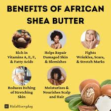 Raw African Shea Butter Large 16 oz shea butter